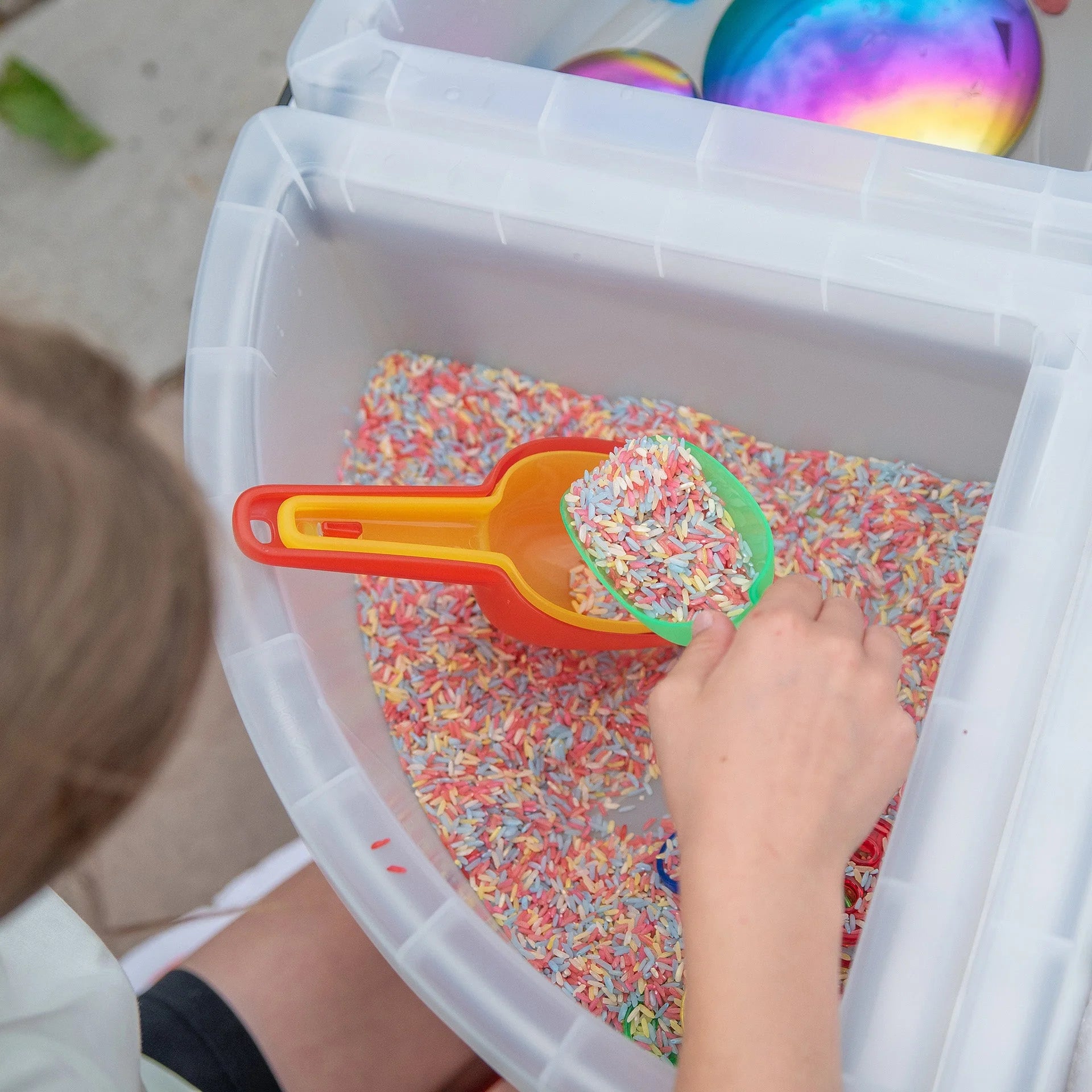 Discovery Quadrant Trays & Stand