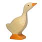 gans