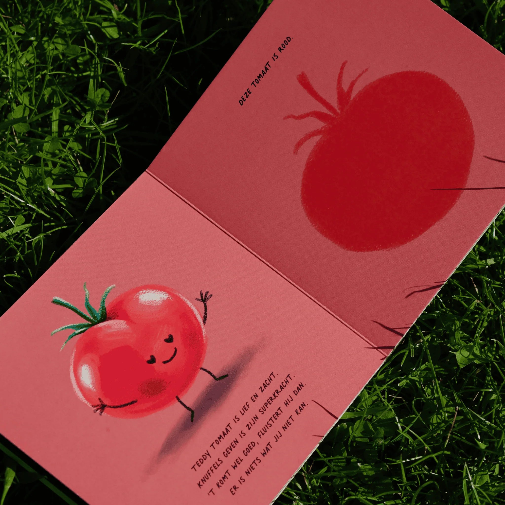 Kartonboekje Gaan met die Banaan