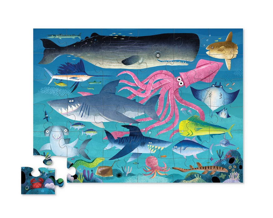 Shaped box puzzles, 36 stuks Haaienrif