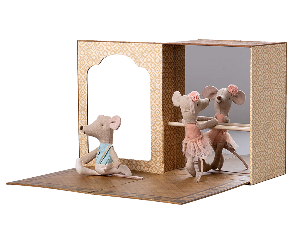 Balletmuizen in de dansstudio – Kleine zus en broer