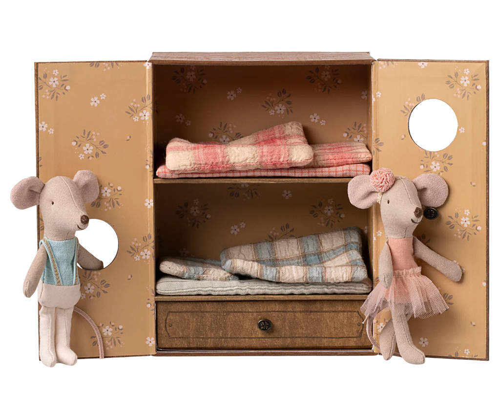 Balletmuizen in de dansstudio – Kleine zus en broer