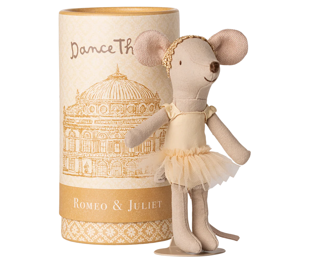 Ballet danser muisje - Grote zus
