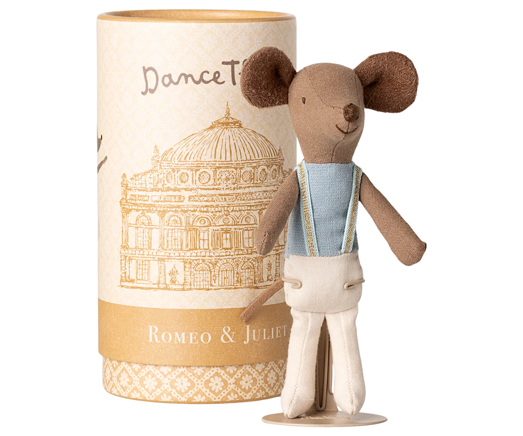 Ballet danser muisje - Grote broer