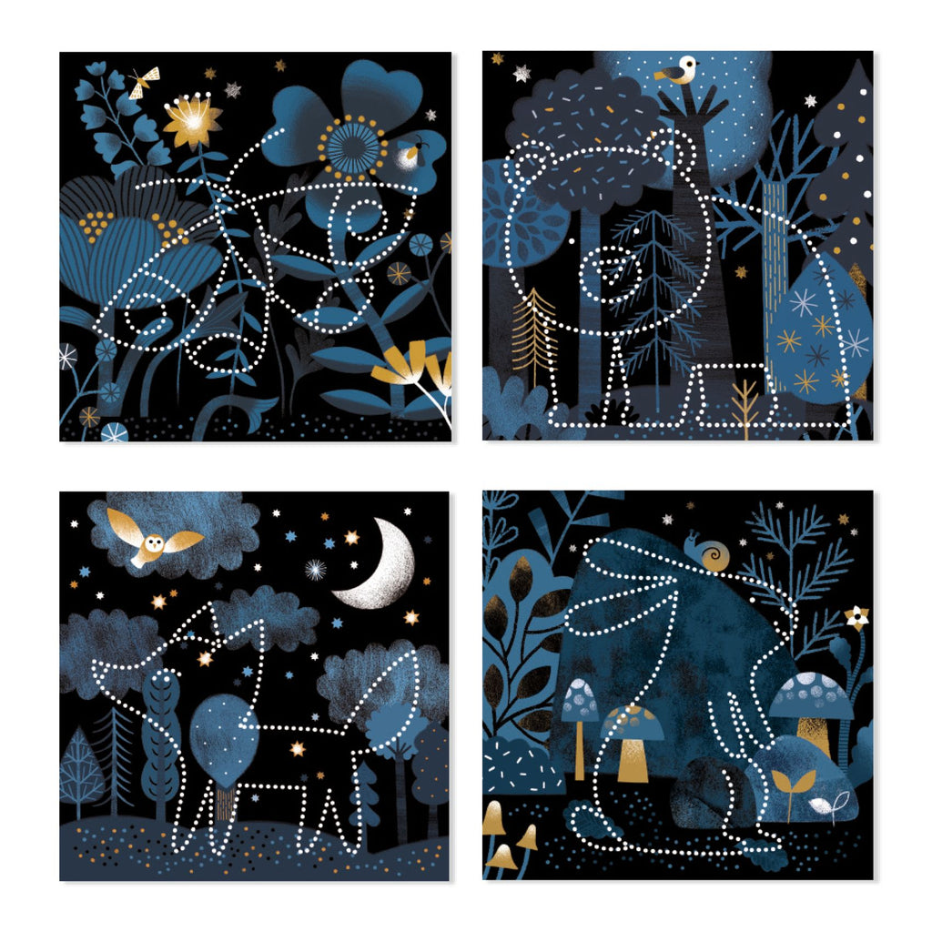 Nachtdieren om te ontdekken