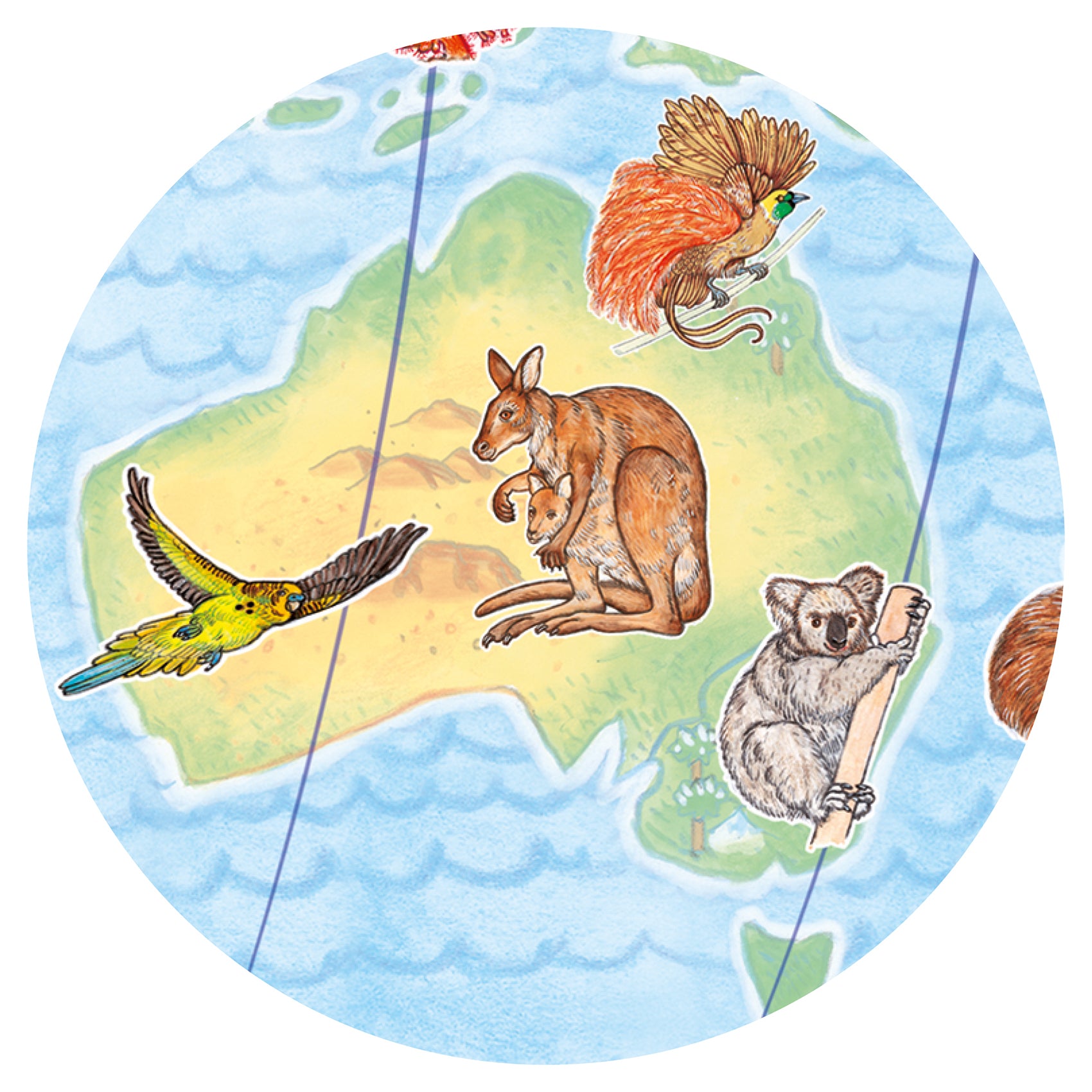 World's animals + booklet  100 pcs