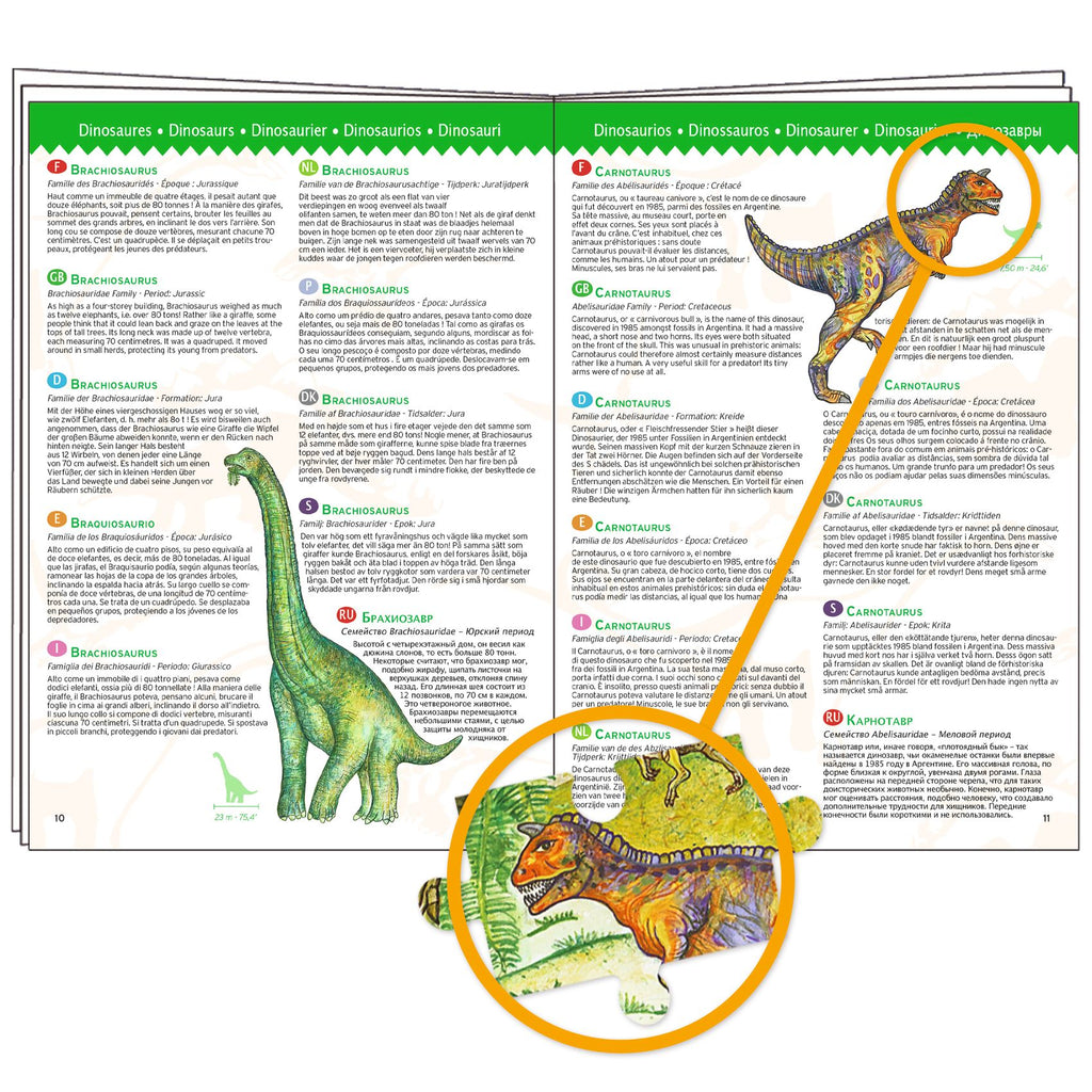 Dinosaurs + booklet - 100 pcs
