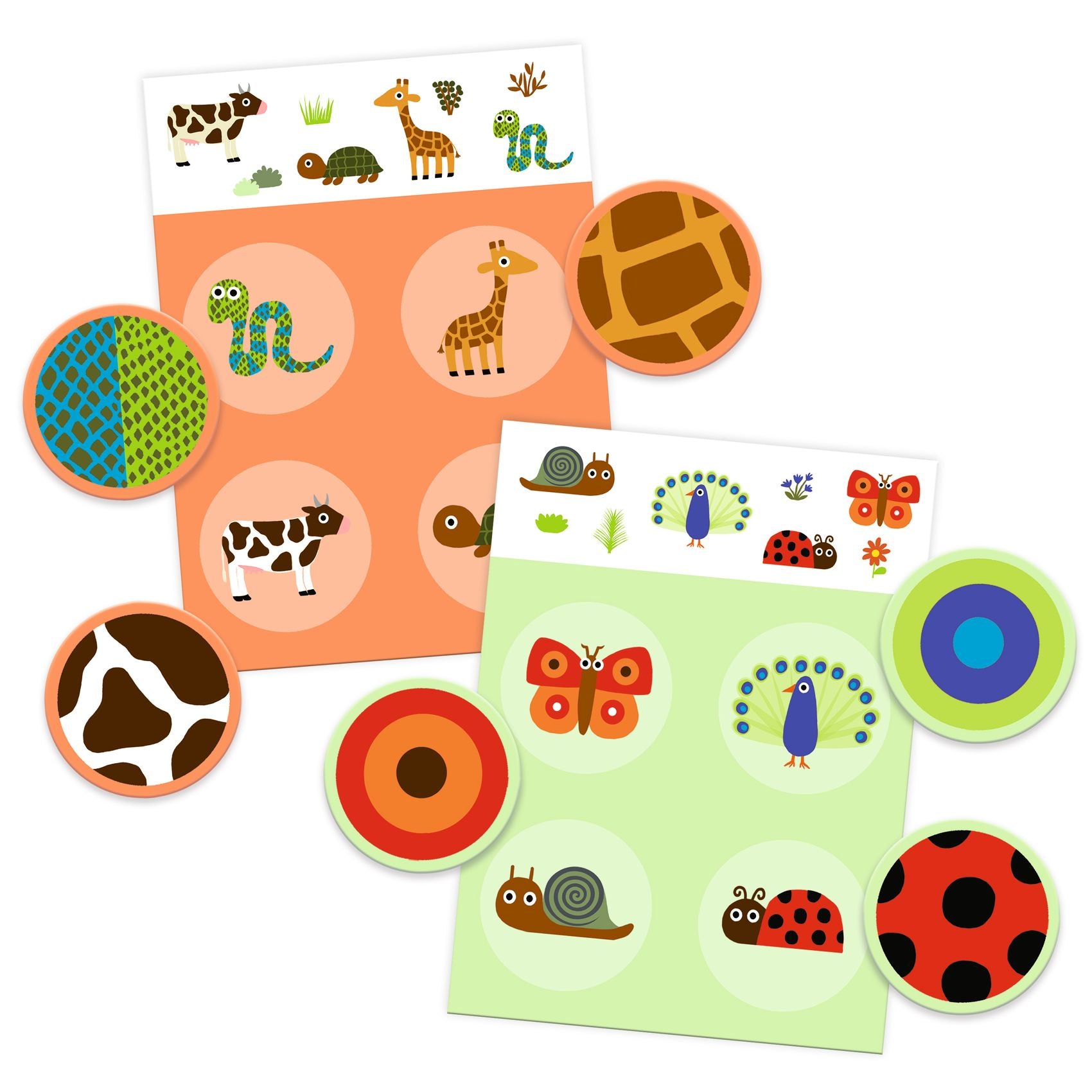 Lotto Veren en vacht