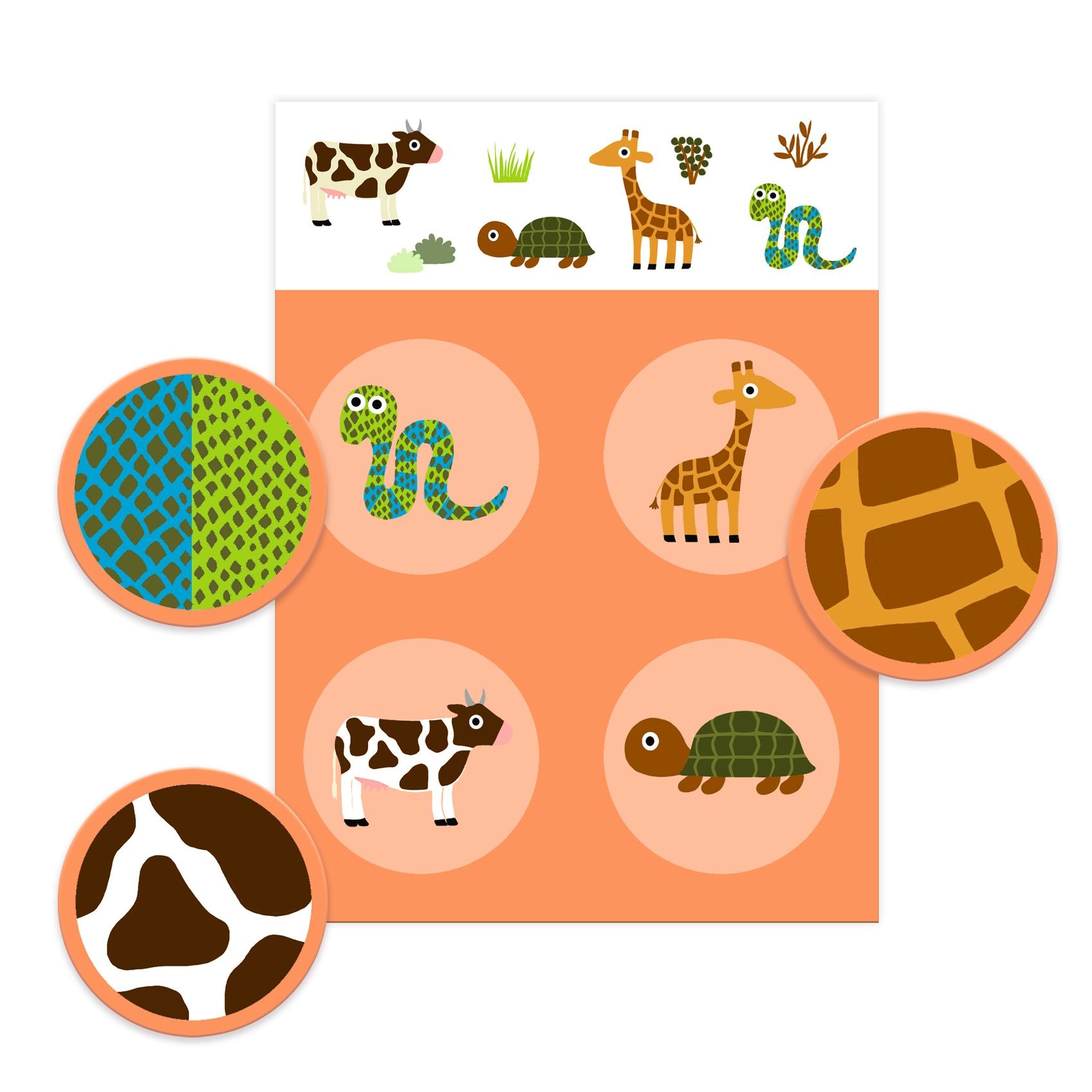 Lotto Veren en vacht