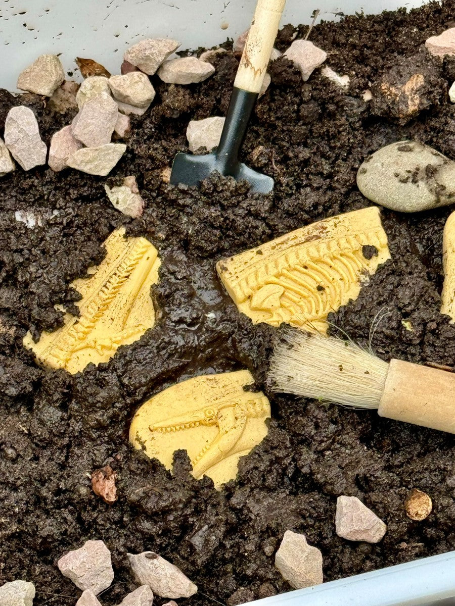 Yellow Door dig & discover pliosaurus & stegosaurus