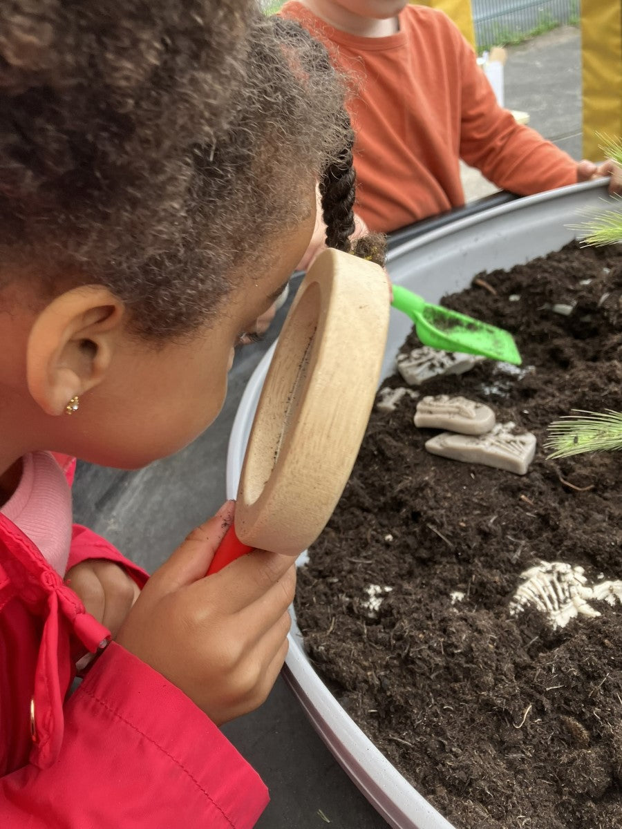 Yellow Door dig & discover pliosaurus & stegosaurus