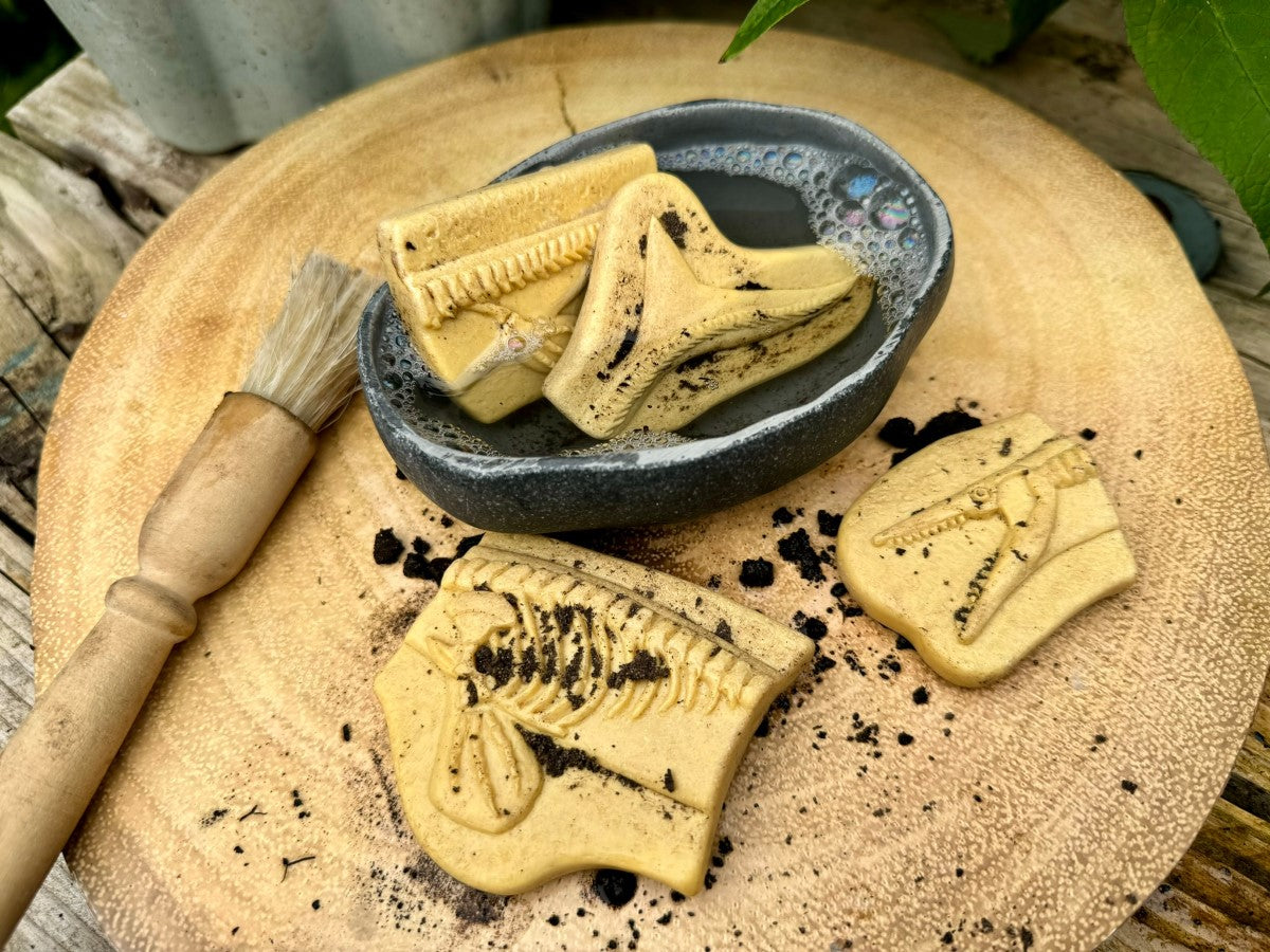 Yellow Door dig & discover pliosaurus & stegosaurus