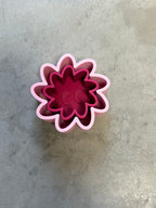 Aster Set Roze