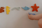 Magnetic Sea Life Animals