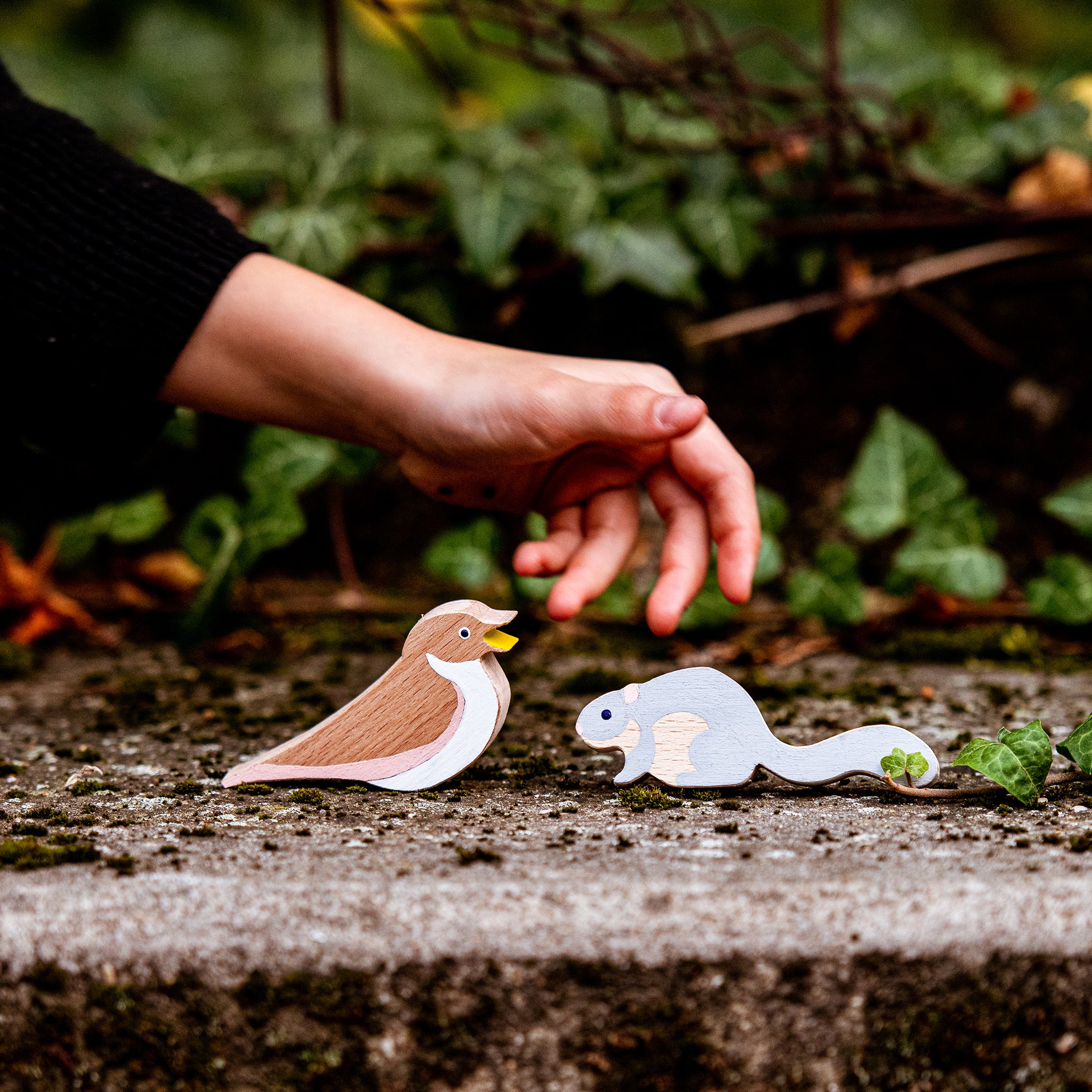 Verzameling nachtdieren