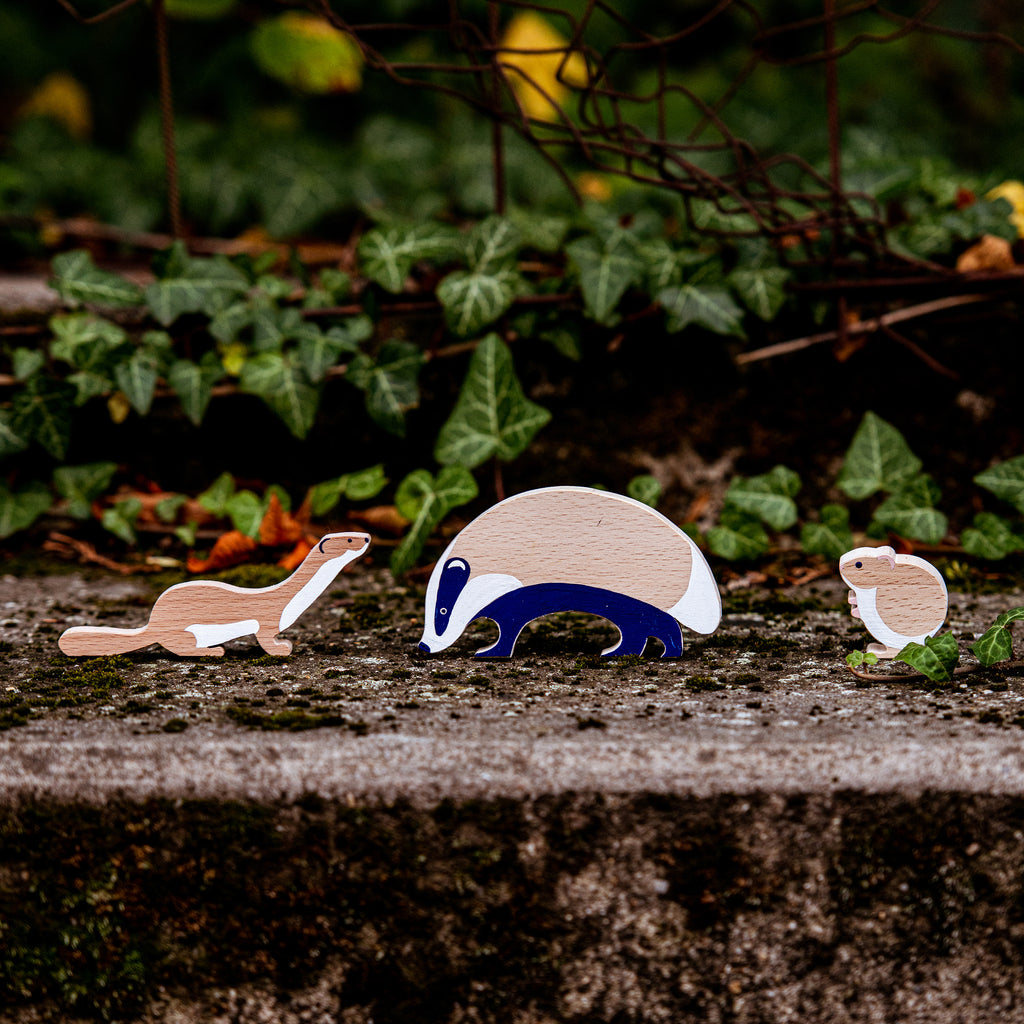 Verzameling nachtdieren