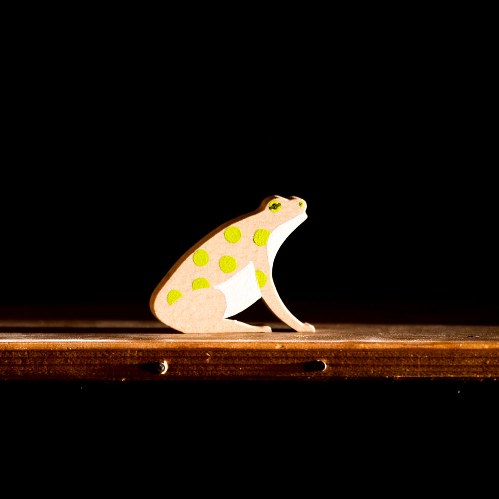 Verzameling nachtdieren