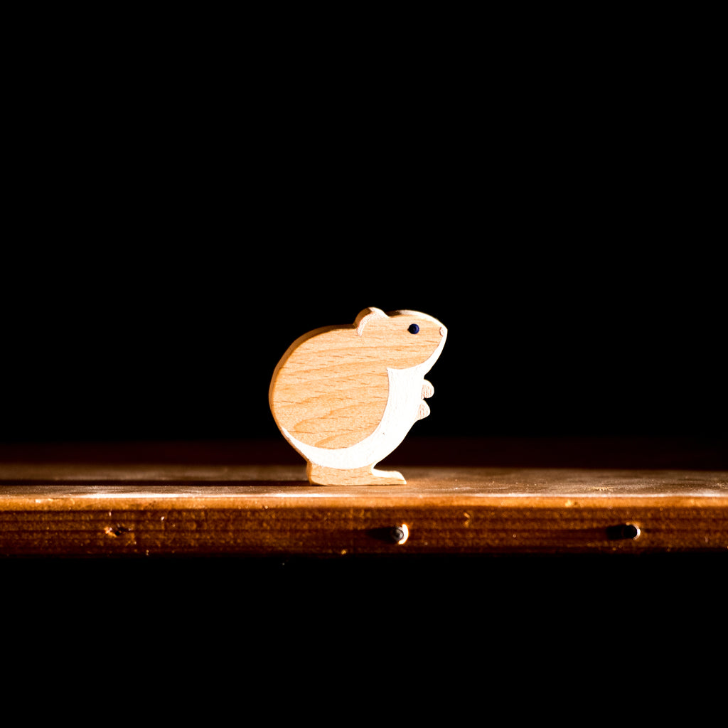 Verzameling nachtdieren