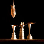 Big-eared bat - closed wing