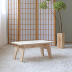 Aki Stool