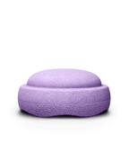 Grow |  Violet