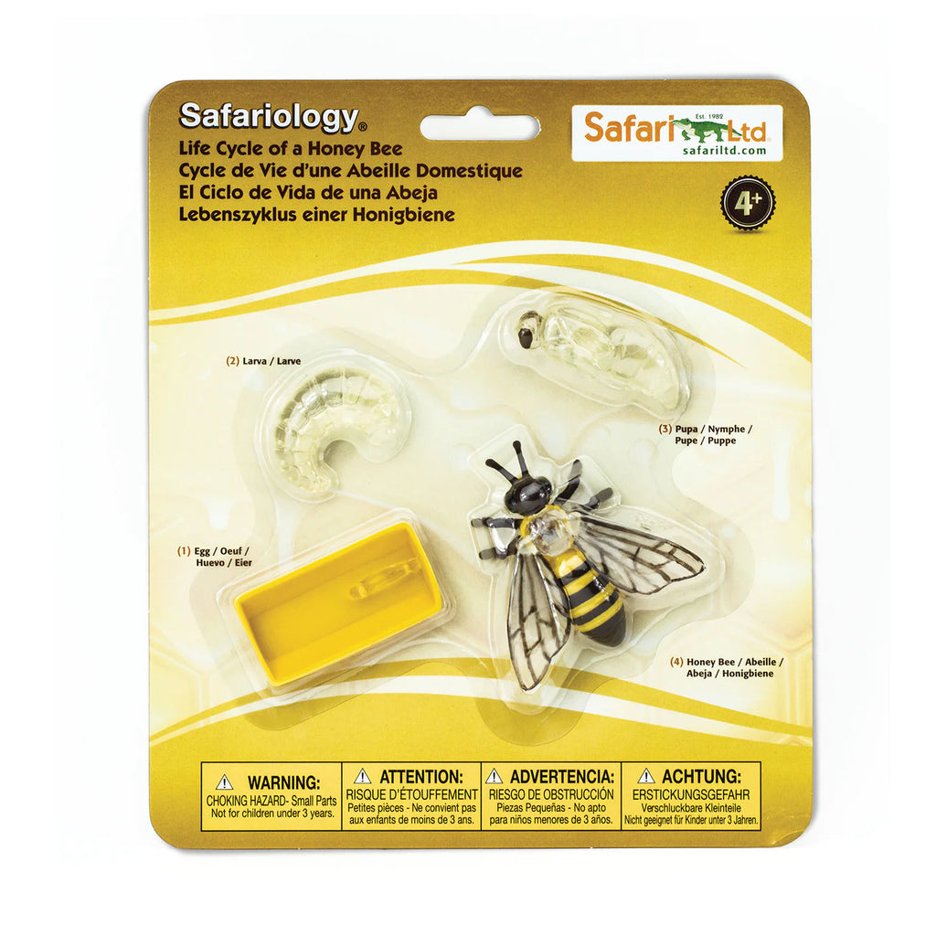 Safari Ltd Levenscyclus van een honingbij