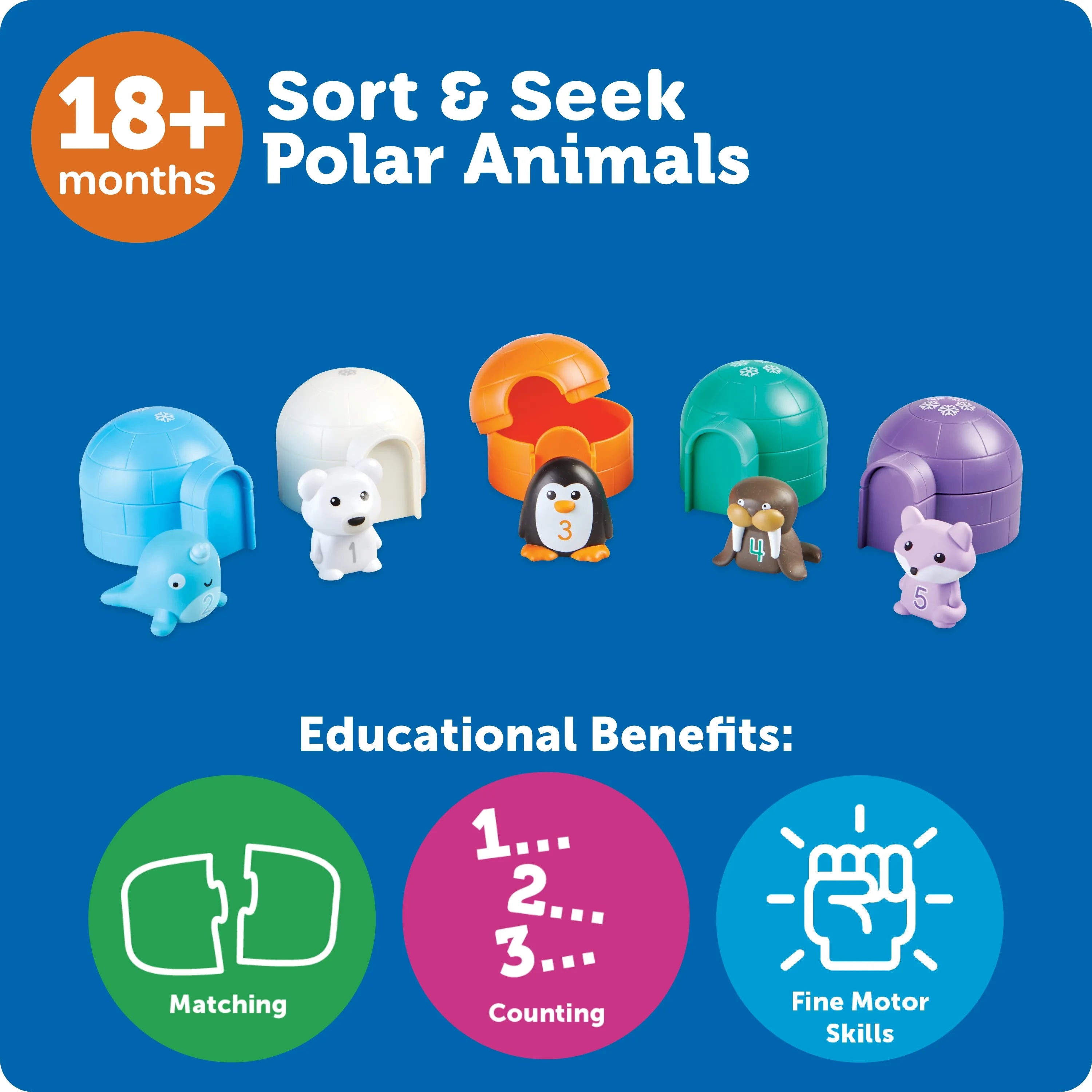 Sort & Seek™ Polar Animals