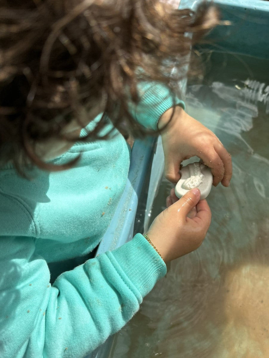 Yellow Door dig & discover ankylosaurus & tyrannosaurus rex