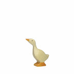 gans