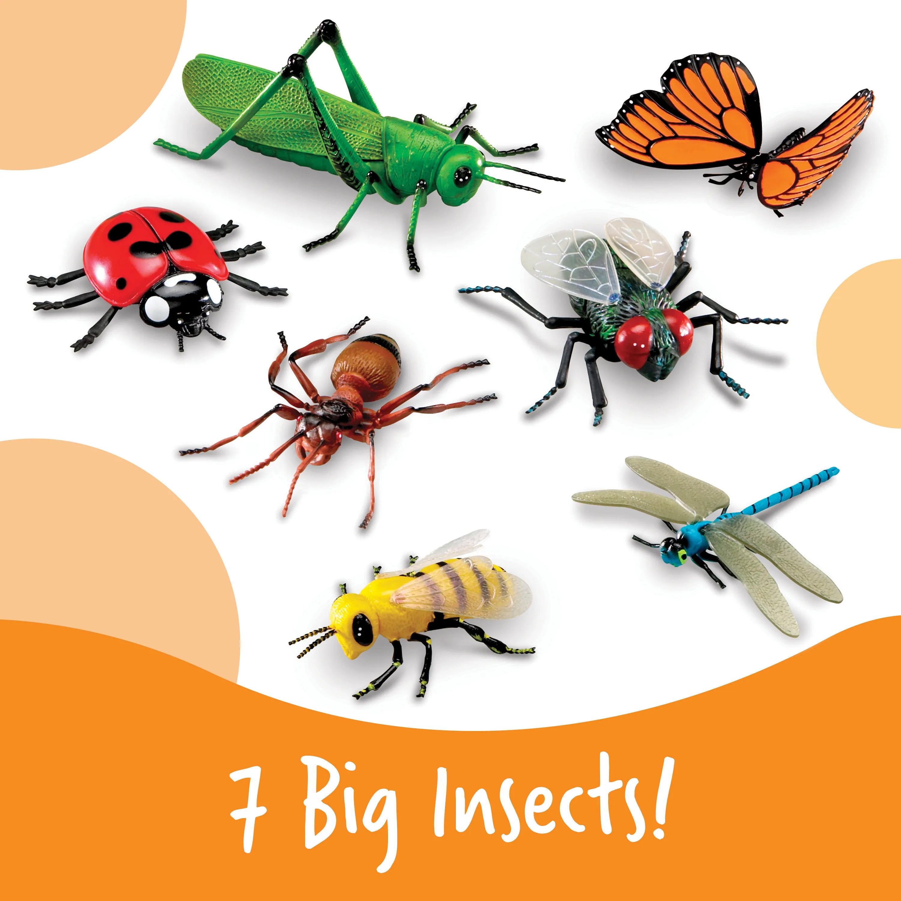 Jumbo Insects