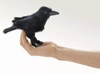 Mini Raven