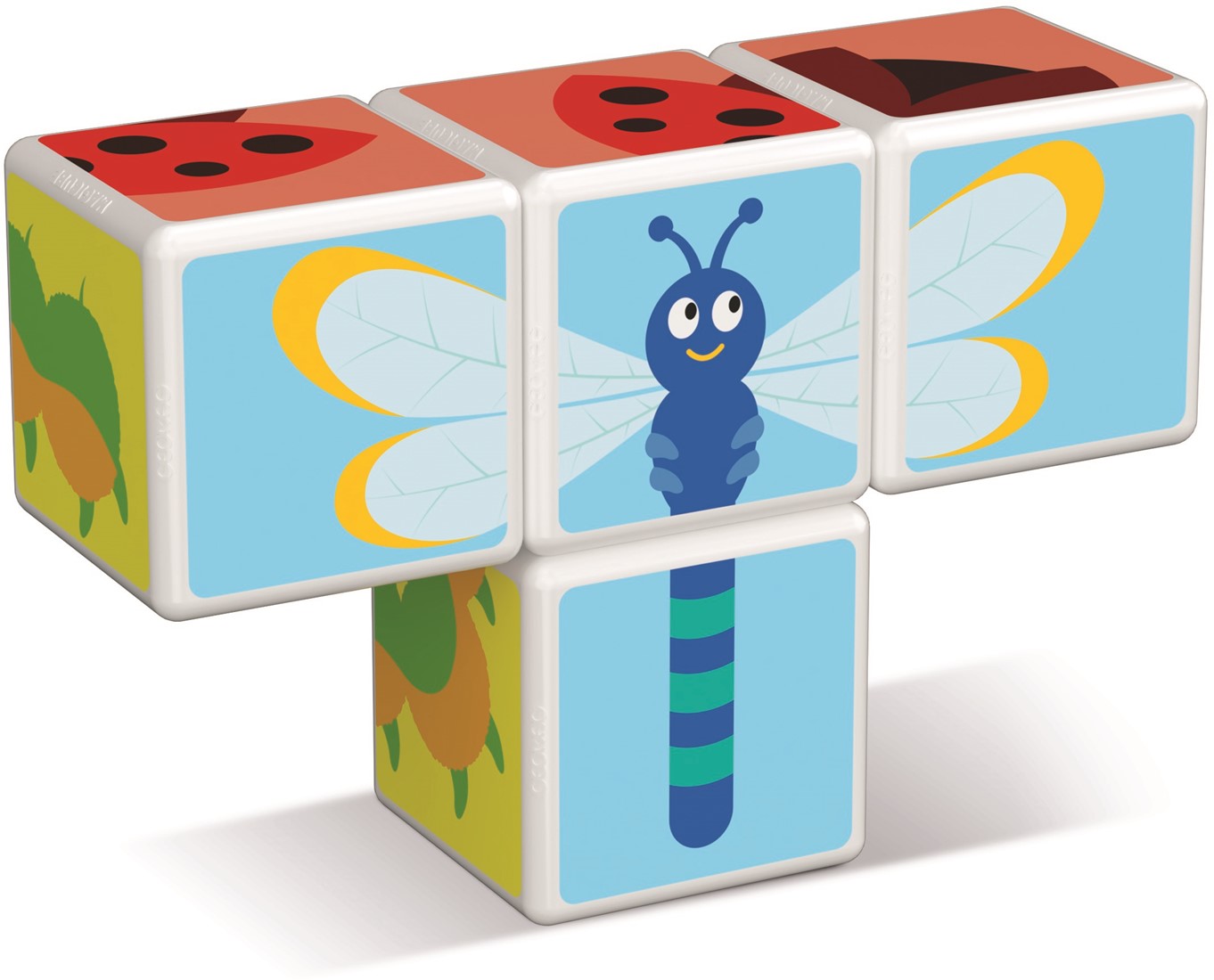 Magicube Printed Insects + Cards 7 pcs