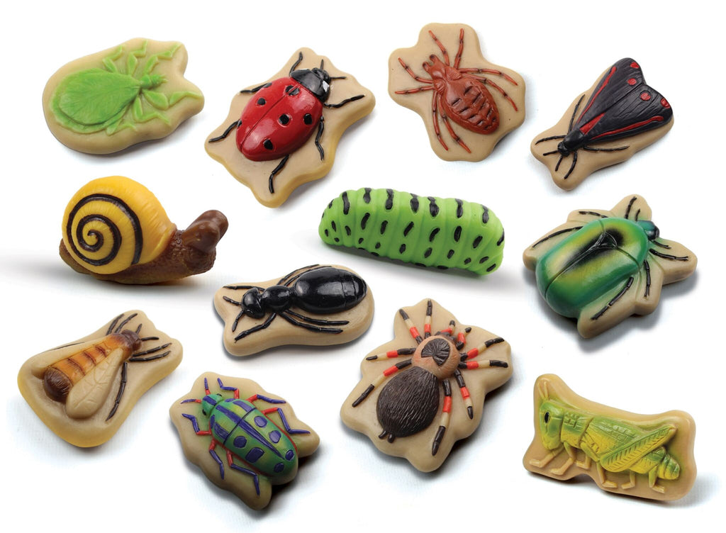Sensory Play Stones Bugs