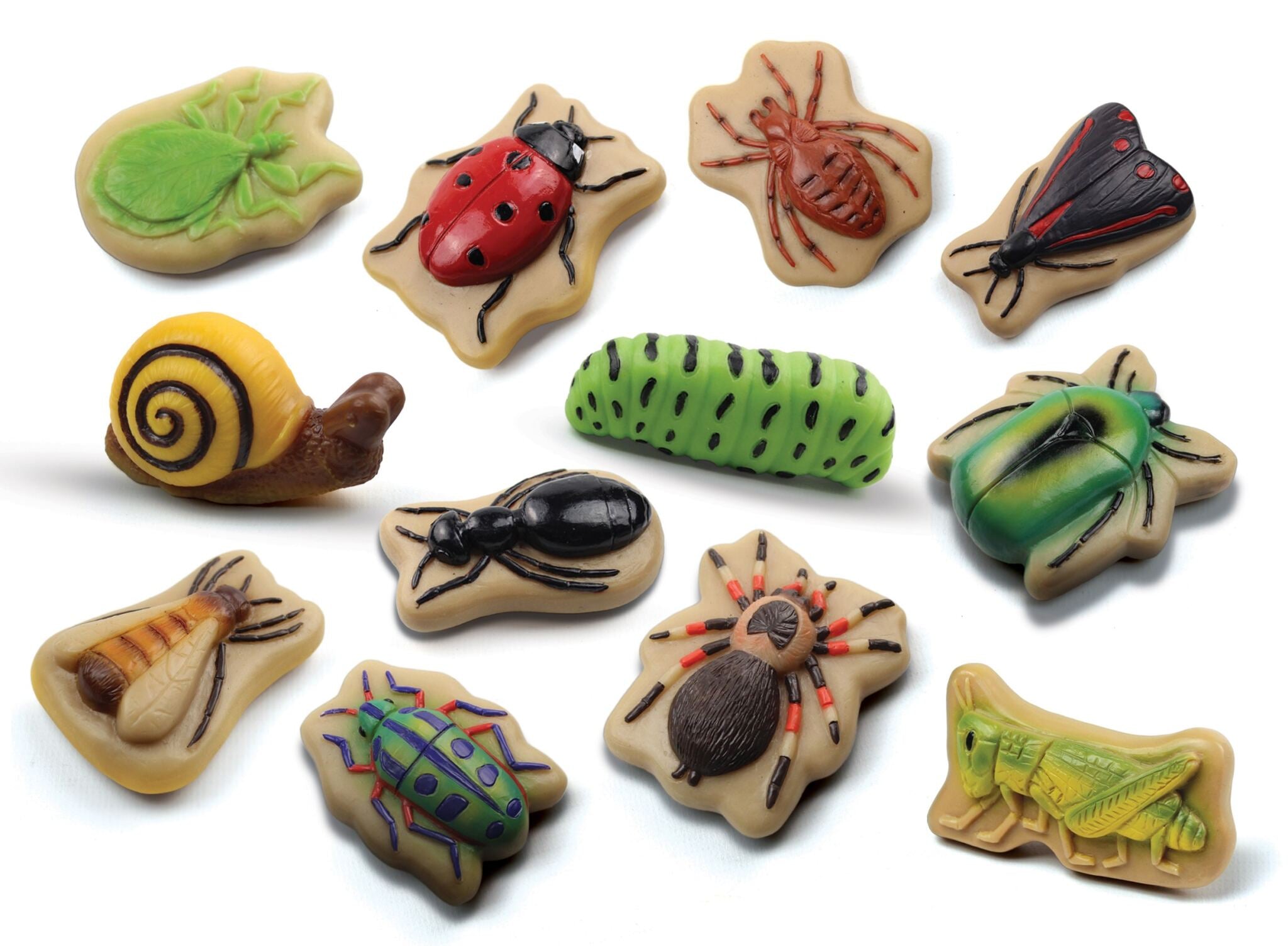 Sensory Play Stones Bugs