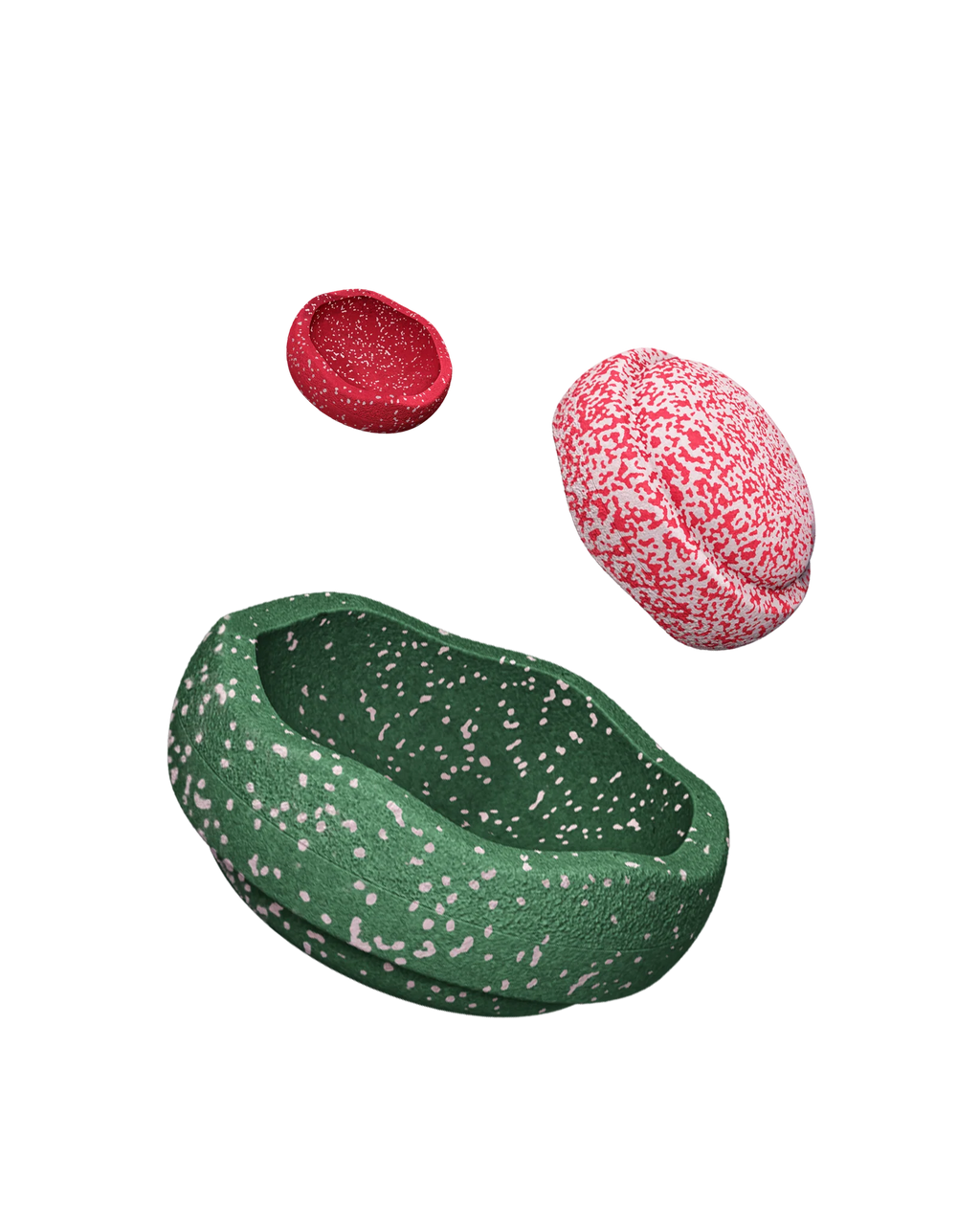 Wintereditie Blush Speciale Trilogy Set