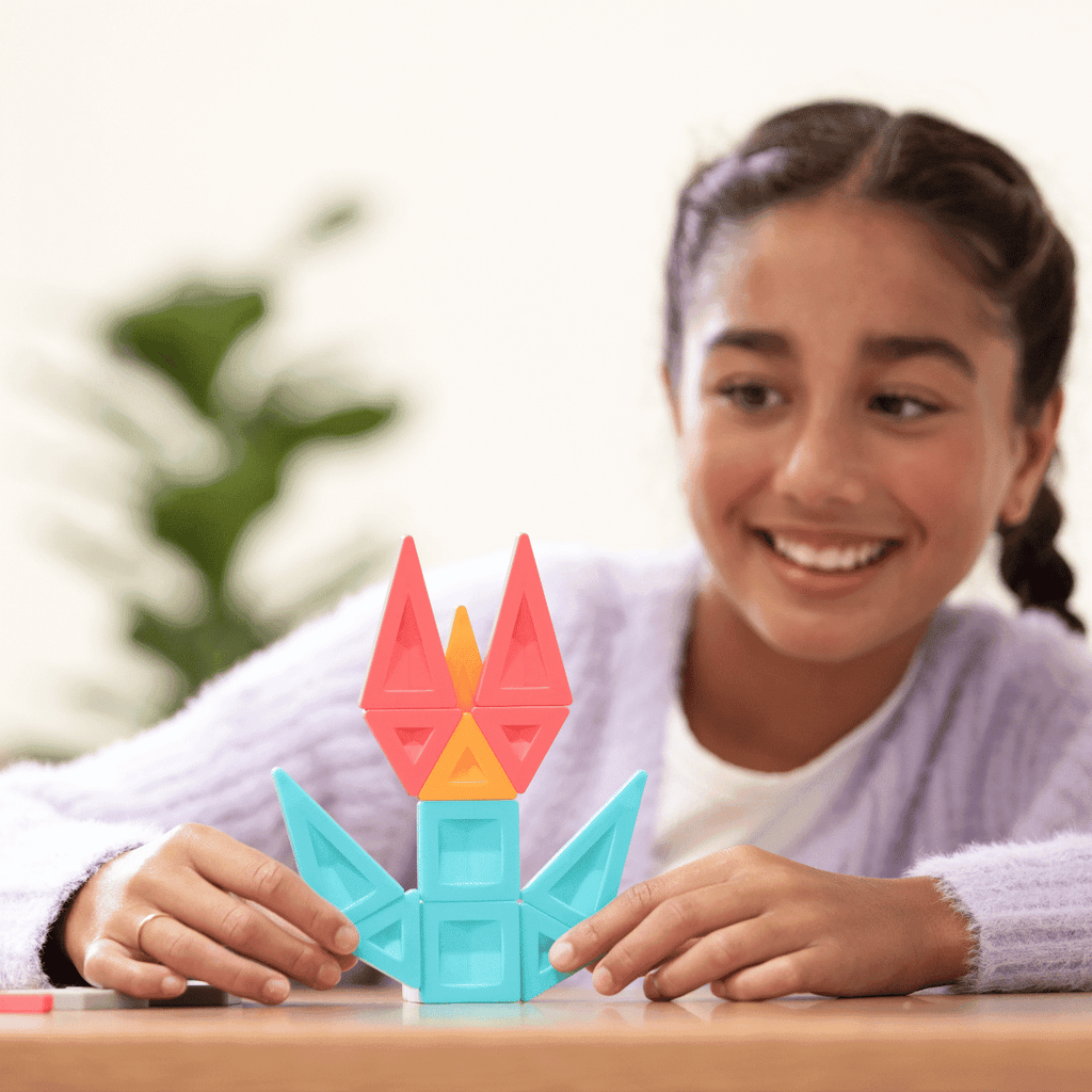 PRO Constructor *70 stuks