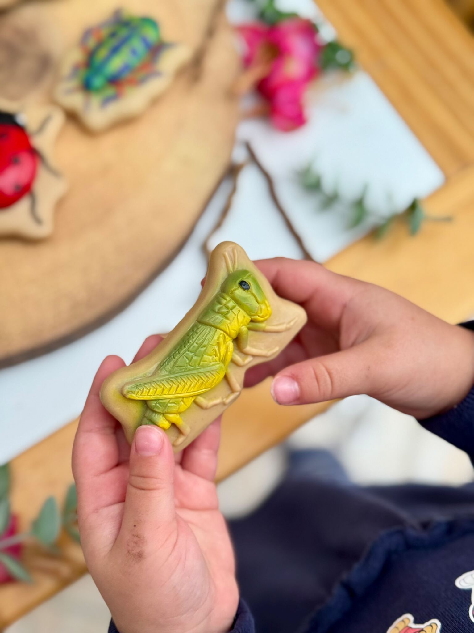 Sensory Play Stones Bugs