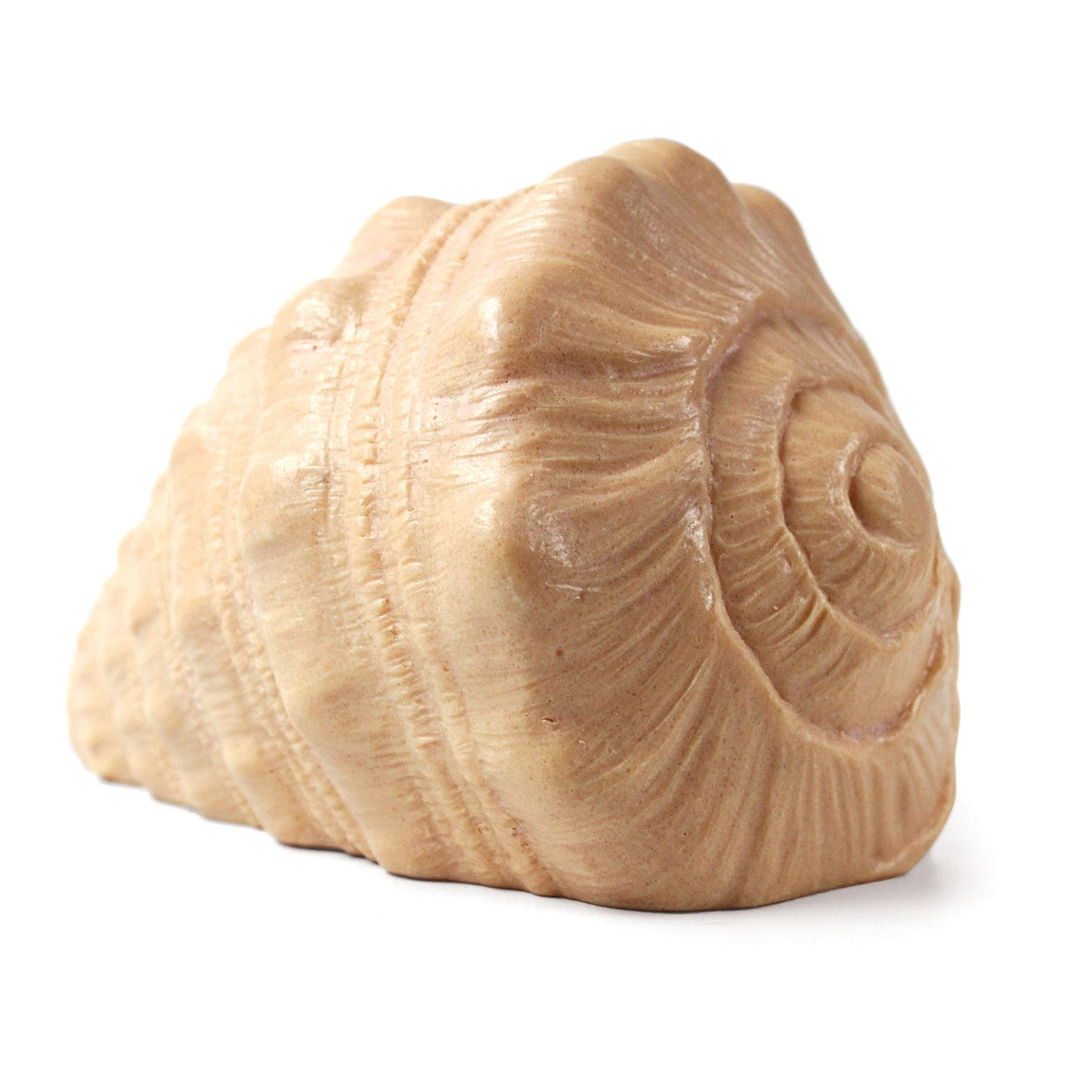 Play Shell – The Mini Story