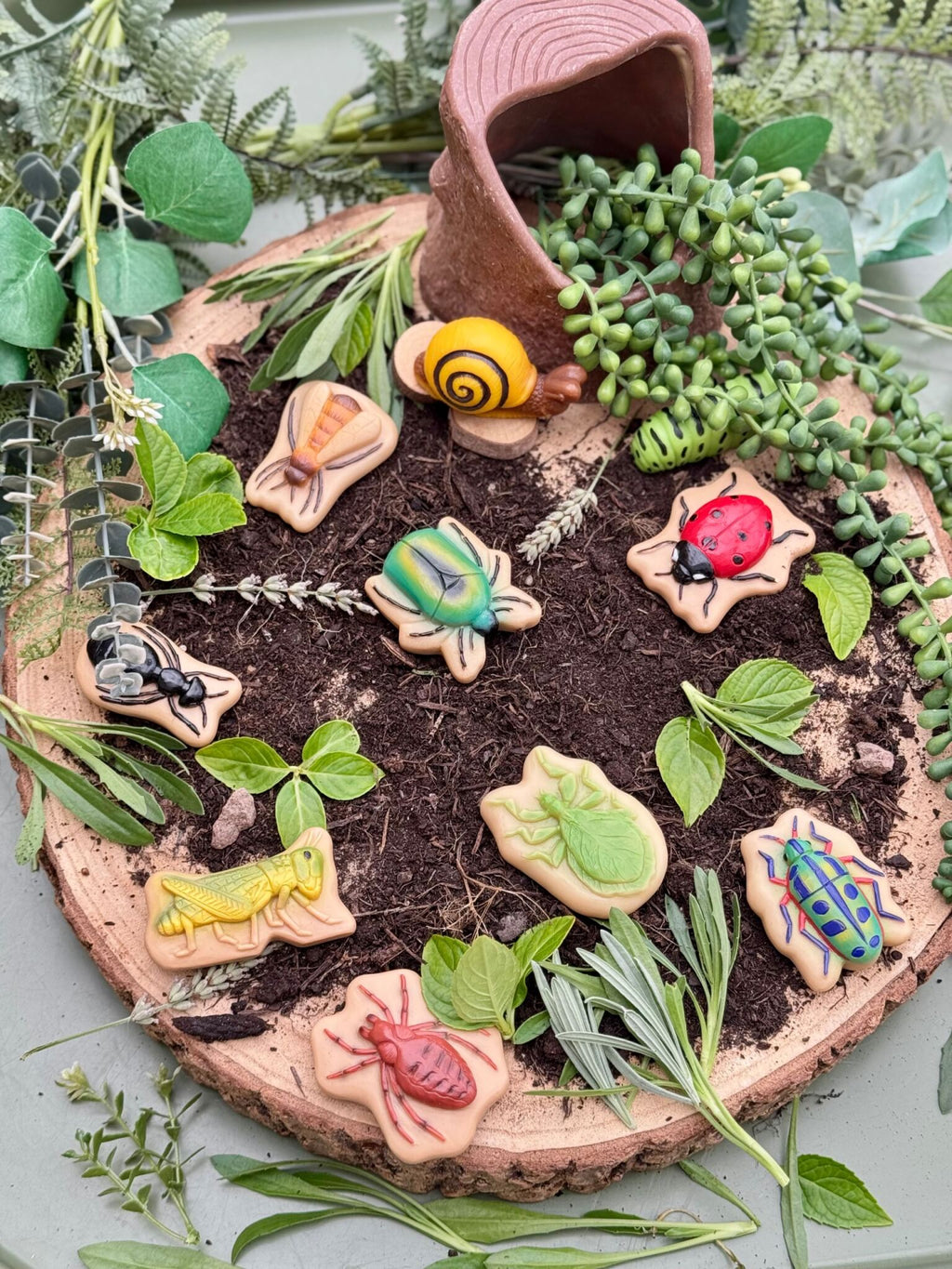 Sensory Play Stones Bugs