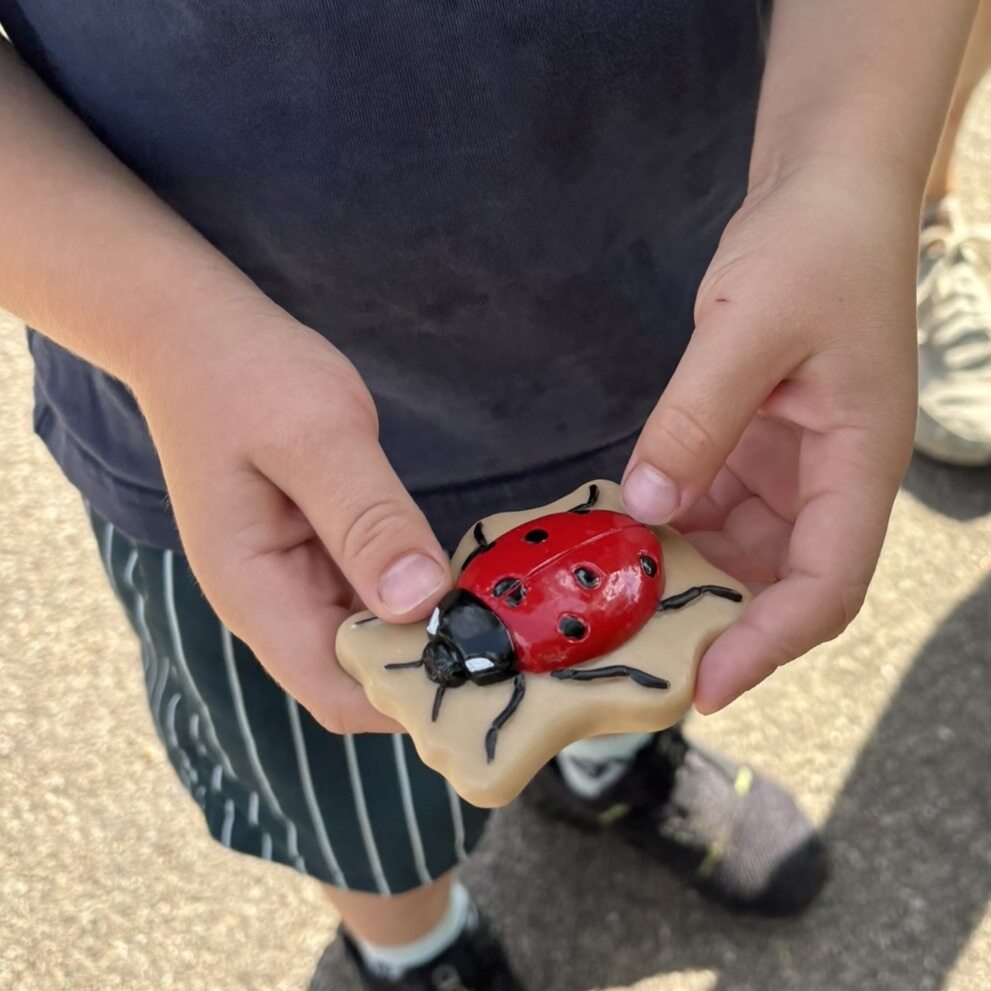 Sensory Play Stones Bugs