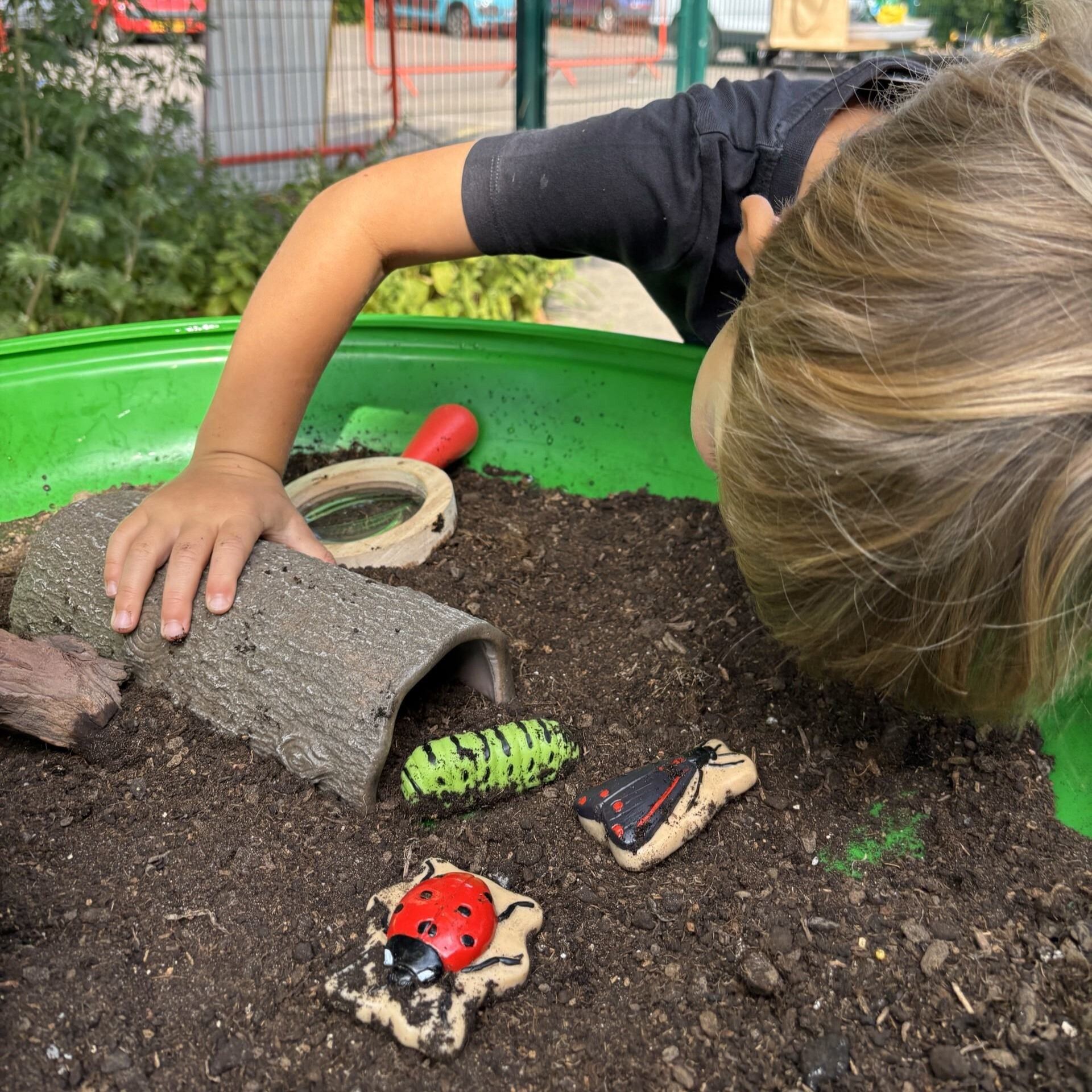 Sensory Play Stones Bugs