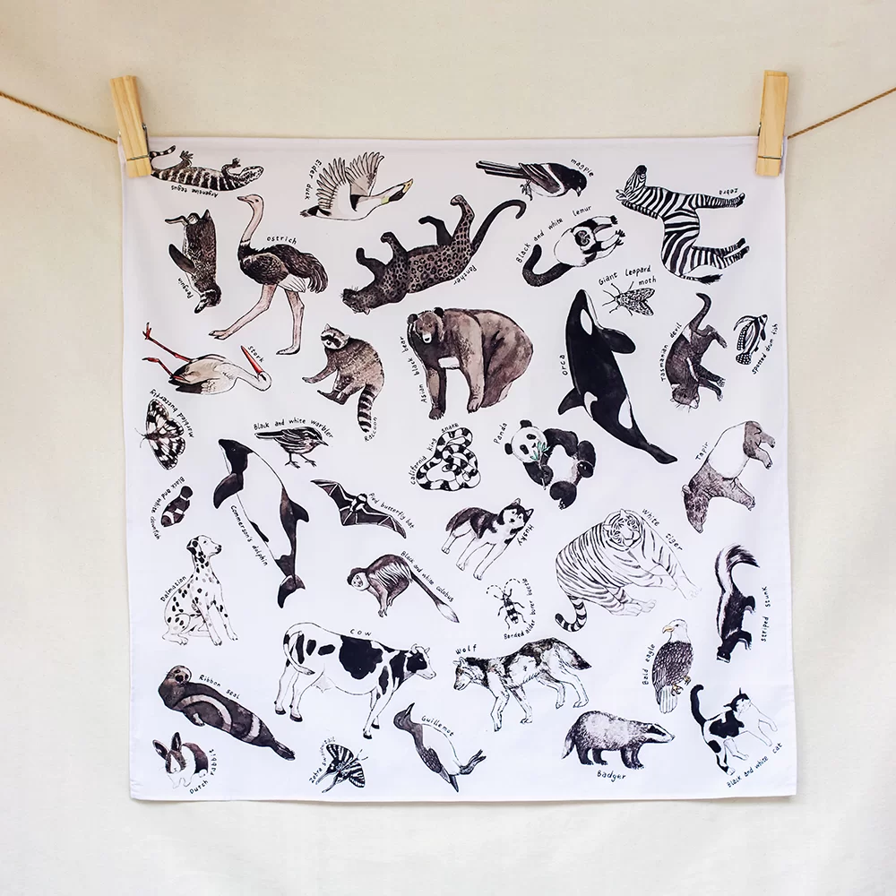 Inky and ivory animal kingdom