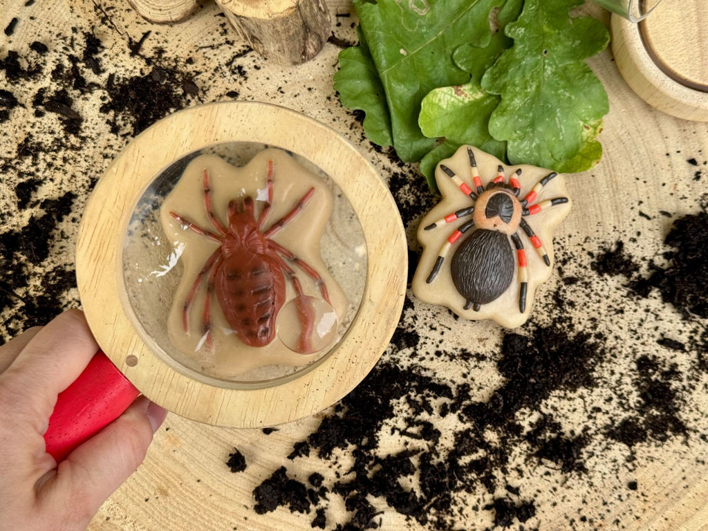 Sensory Play Stones Bugs