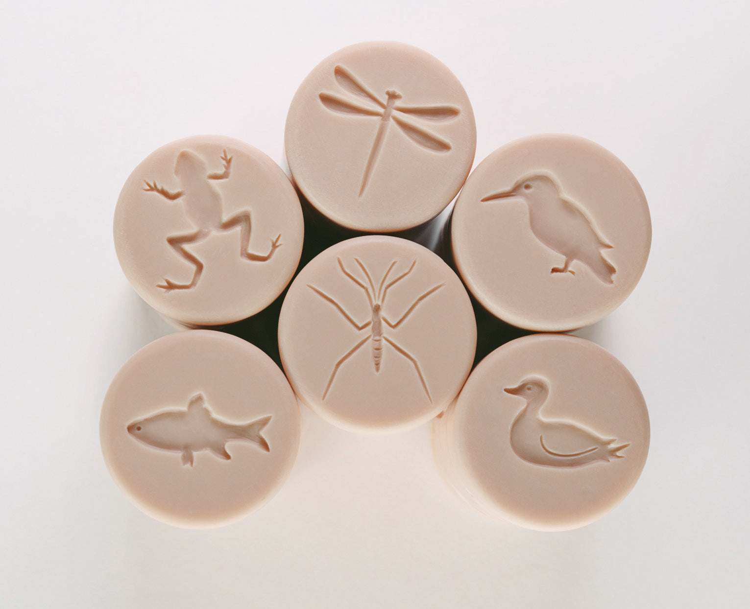 Let’s Roll Pond Life