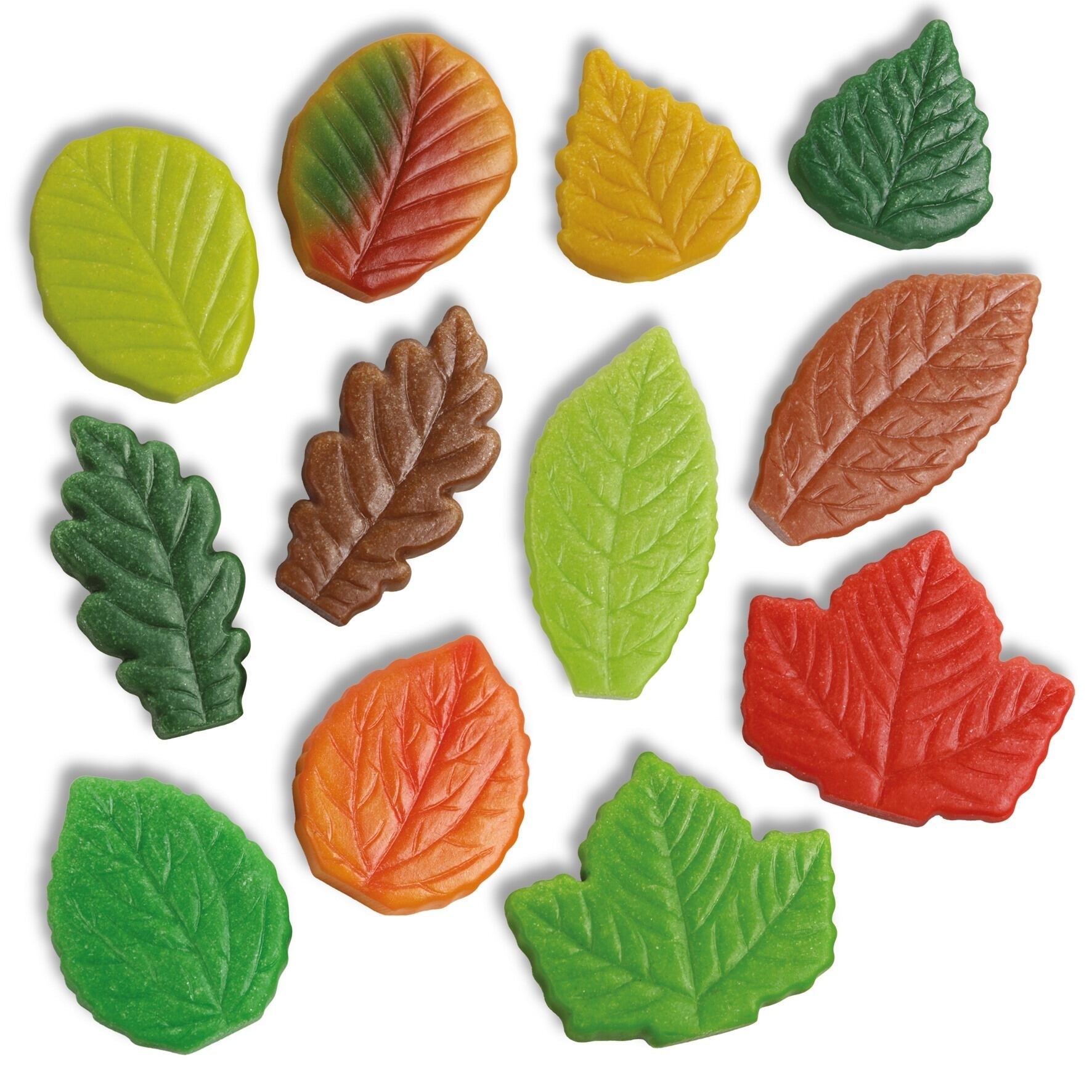 Sensory Leaves