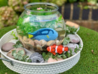 Sensory Play Stones fish