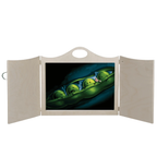 Vertelplaten Erwtjes in de ruimte