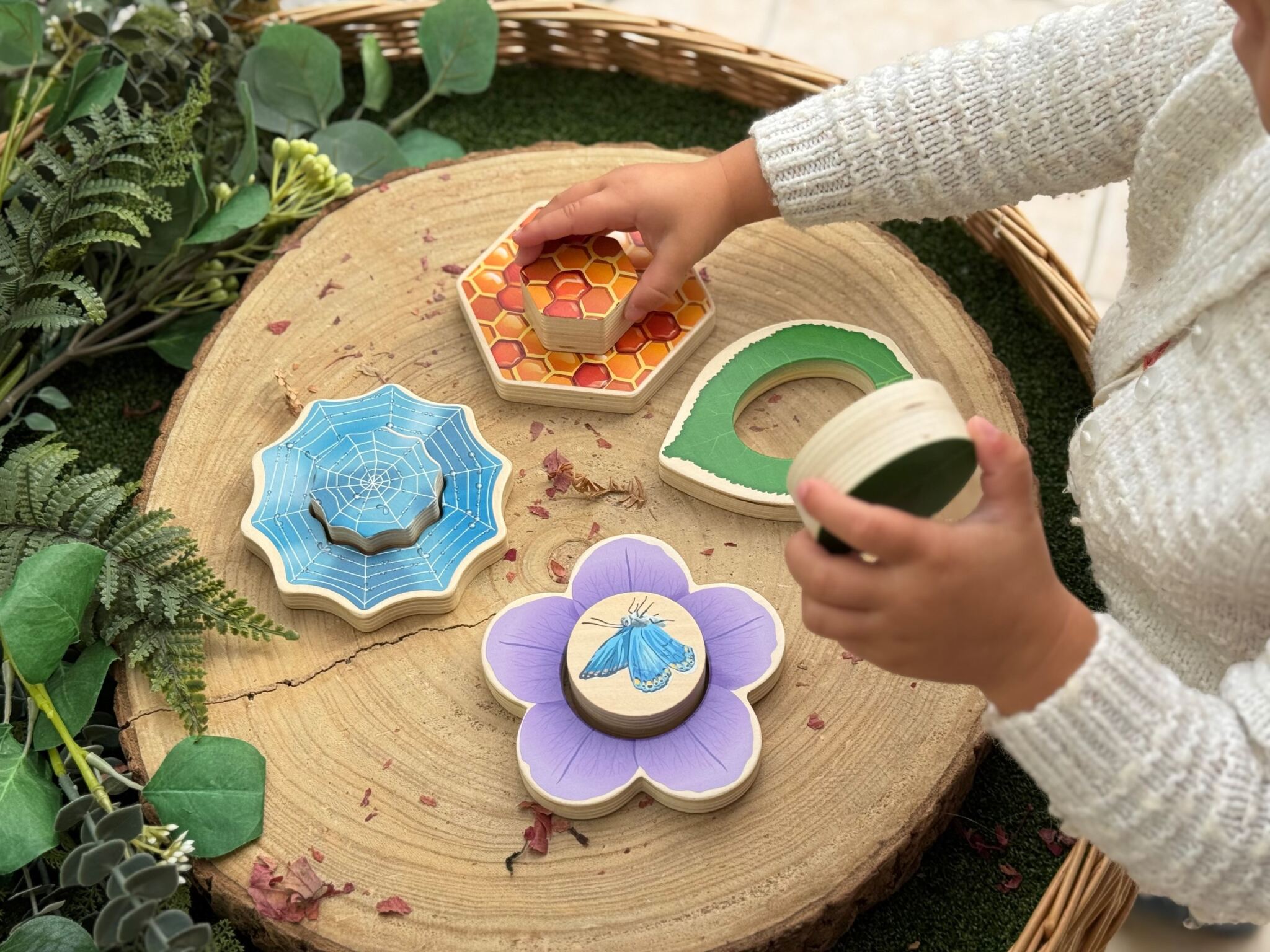 Who’s Hiding? Garden Bugs