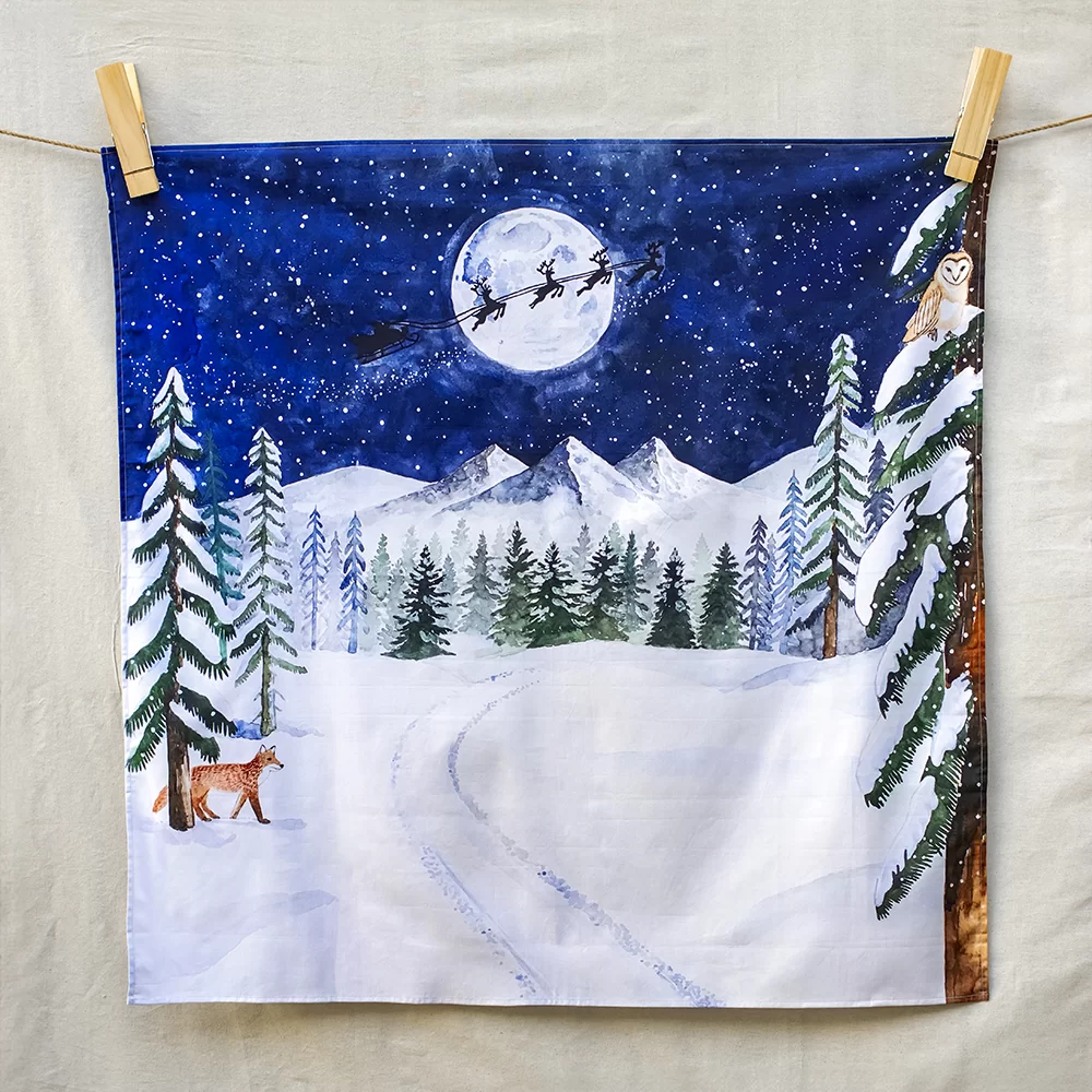 One starry winter's night