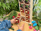 Bug Hotel 10-Frame